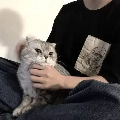 猫头像男生专用版高冷男