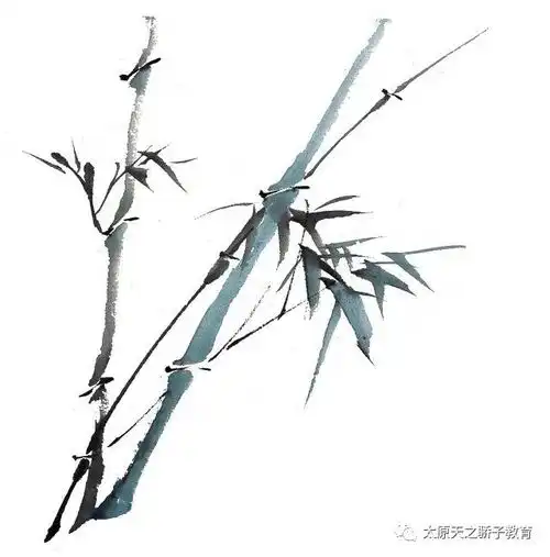 300550的分数适合报考的院校有哪些
