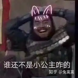 俺妹黑猫表情包骁骑