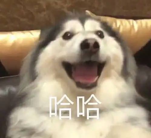 有哪些分享到朋友圈会让人觉得我有病的沙雕冷知识