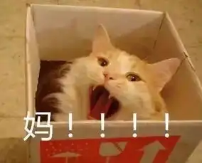 孩子未考到95分,被扔在高速口,妈妈就算坐牢也不要你了