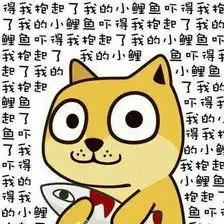 吓得我抱起了我的小鲤鱼表情包下载无水印乐游网游戏下载
