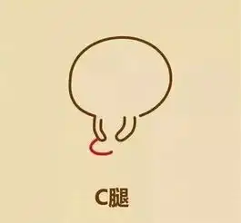 跪下谢谢的表情包给跪了