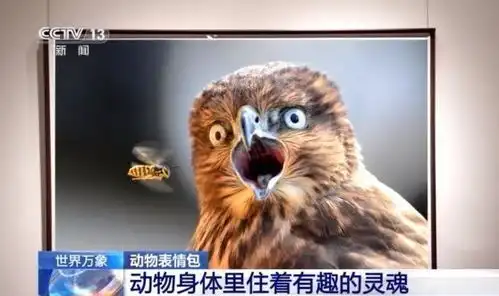 感知动物界的emoji超萌的表情包快来收藏