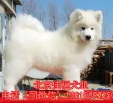 黄页88高清图片