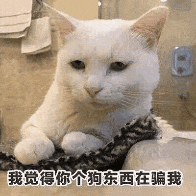 撒娇卖萌表情包,超可爱,男女通用