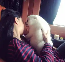 张馨予学成归来晒狗萌萌哒,却胖到不敢露面网友比范冰冰好看