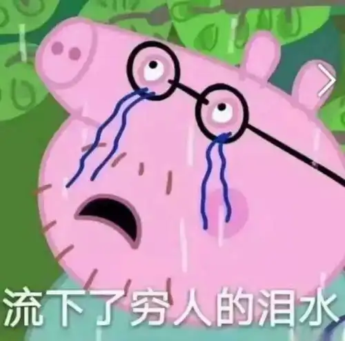 头顶小红花的表情包旦旦