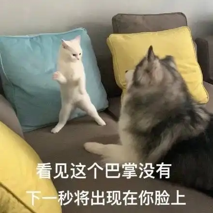 精选20个日常沙雕表情包,来收图吧,即使听着苏喂,也心如止水