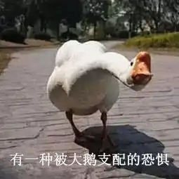 大黄狗误入鹅圈被围殴,毫无还手之力,痛到表情一度失控
