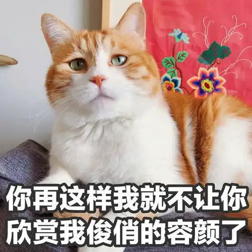 笑话十条妈,你给我盛那么多干嘛,我吃不完