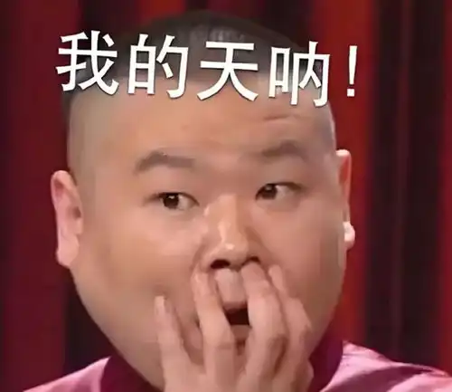 又见专家放嘴炮