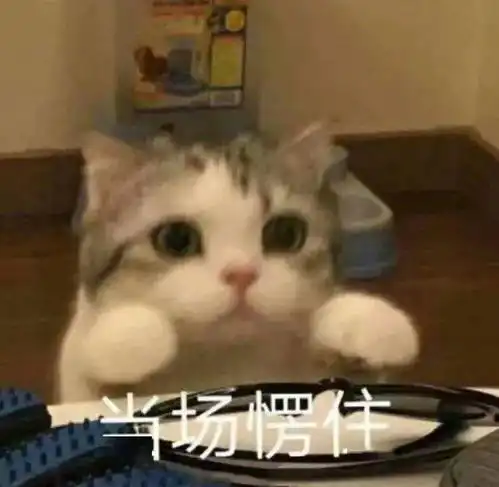 沙雕表情包
