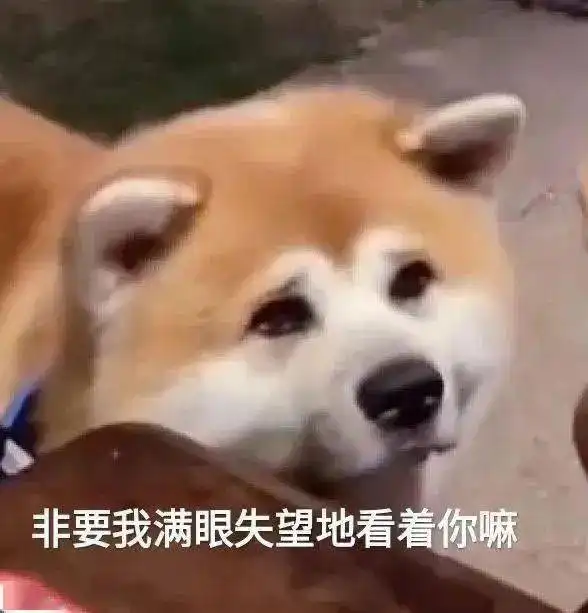 我叫山鸡表情包聊天