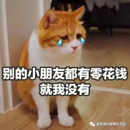 大尺度100话,一般人都不好意思看