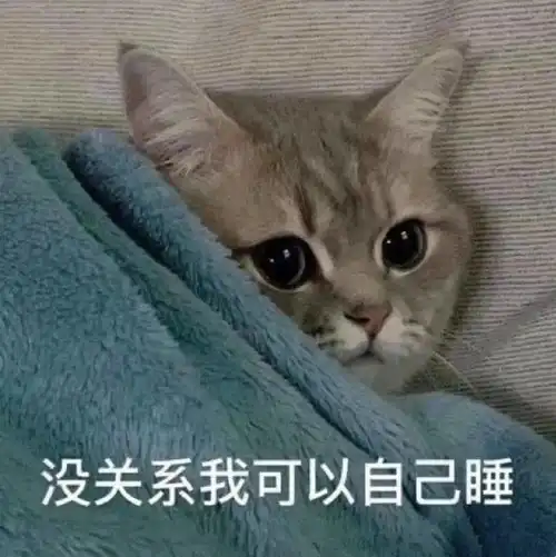 猫咪表情包今天也是棒棒的小猫