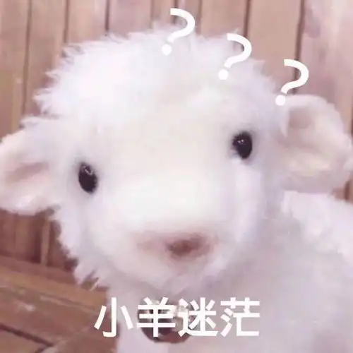 男朋友无论如何都不肯给我妈妈拜年有人能理解吗