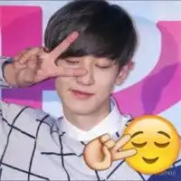 闪亮登场图片表情包朴灿