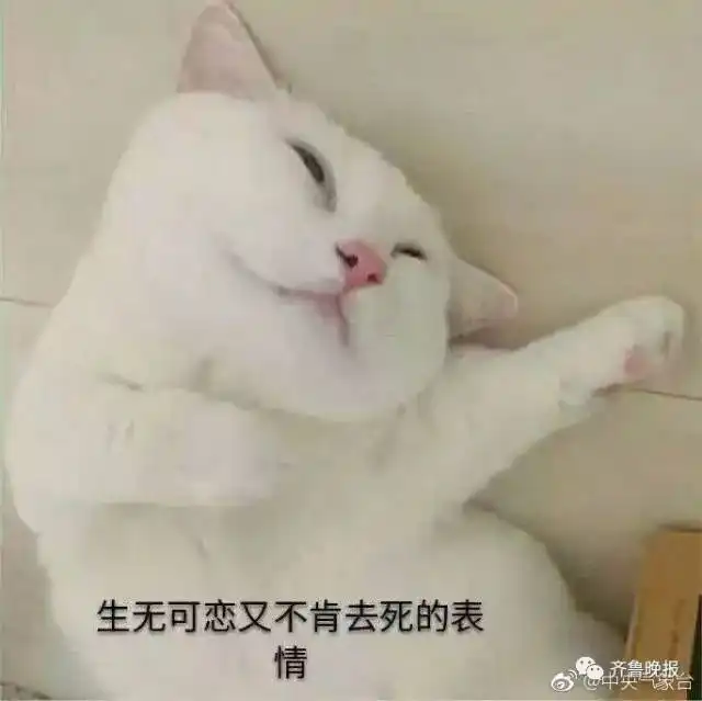 心痛为庆祝前女友结婚,大学食堂小哥给学生免单