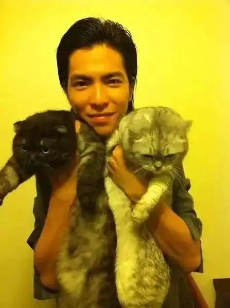 猫咪头像男生代表什么张