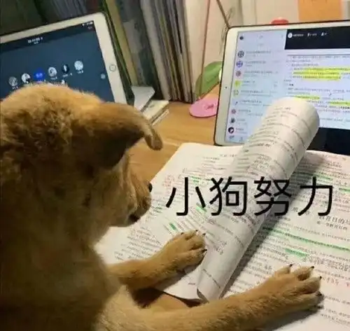 2号实用铺