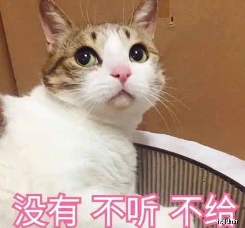 搞笑段子家有萌宠其乐无穷,小时候班主任的套路你中过招吗