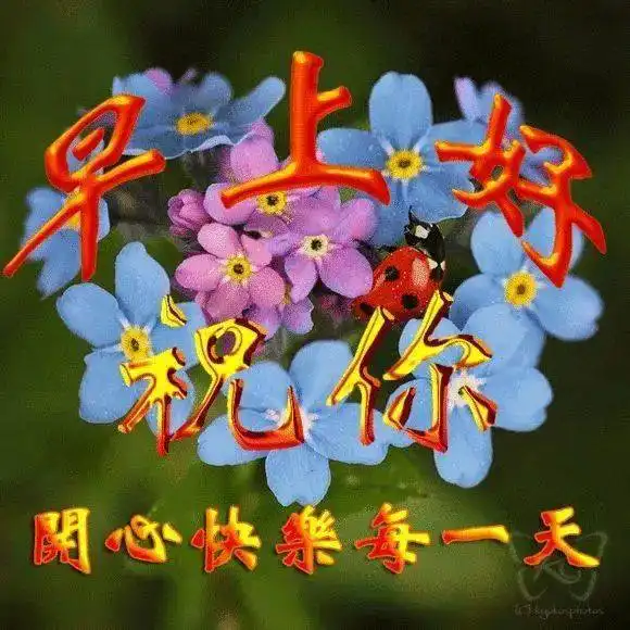 10月23日早上好温馨祝福语鲜花图片暖心句子早安祝福问候语表情动态图片