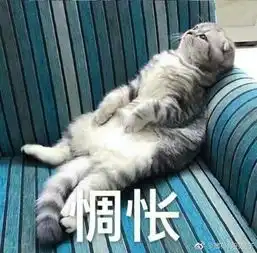 谁有那片星空那片海第二季的百度云资源跪求嗷嗷嗷嗷嗷江湖救急呐呐呐呐呐呐呐