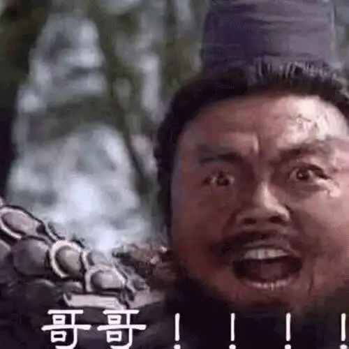 夺笋表情包张飞