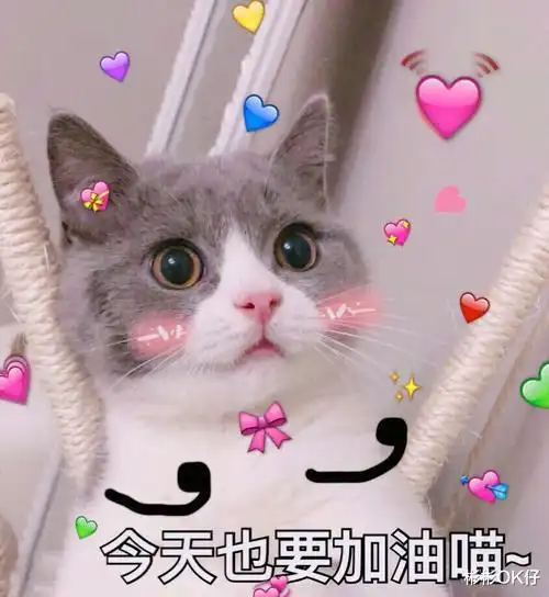 女生有男朋友之后应该要知道的事情有哪些
