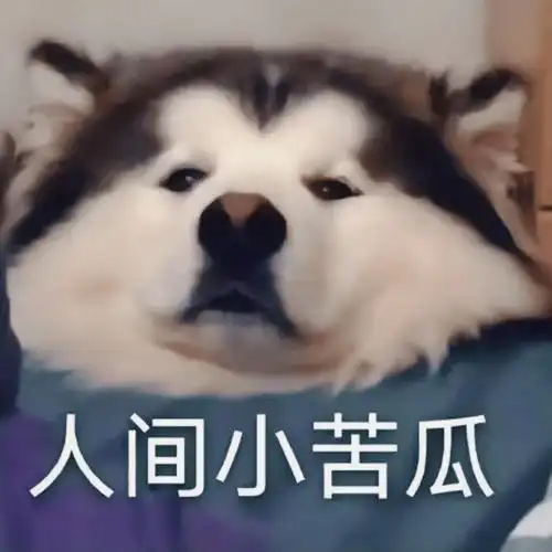 胖娃表情包表情包