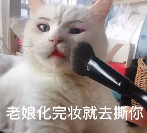 你有什么清奇有趣的表情包