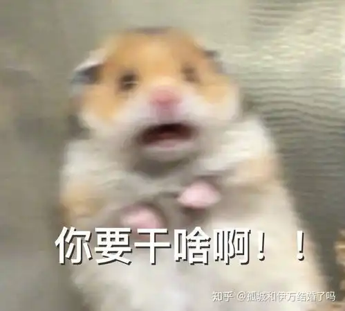 抖音为何让人恶心