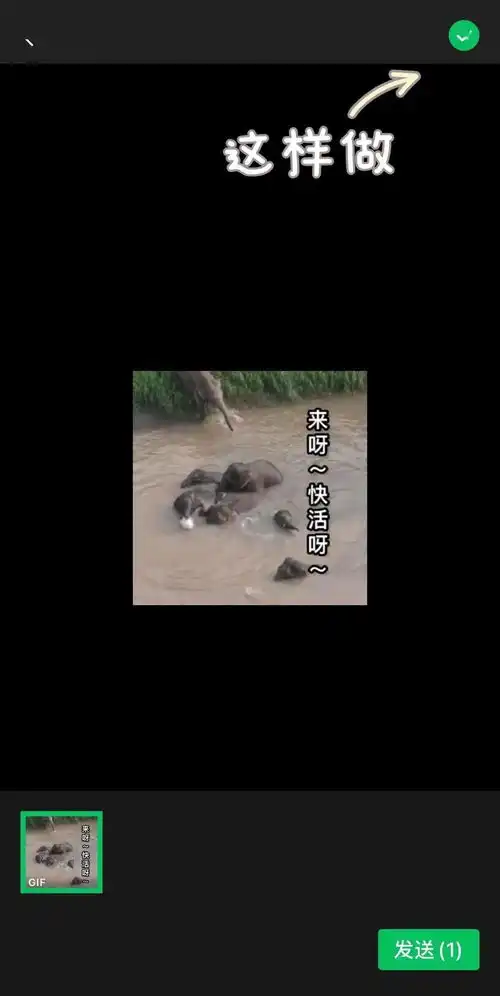 大象表情包上线你能认出哪些出自玉溪吗