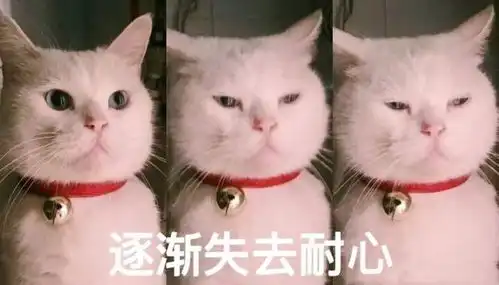 假期只能憋在家的人,和我一起来这集合