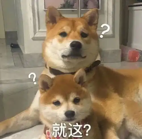 沙雕表情包生活已经容不下我了
