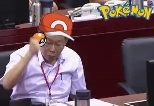 台北市长被大陆网民玩坏了