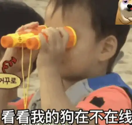 表情宋民国长大了,表情包逆袭成男神,网友未来的长腿欧巴表情