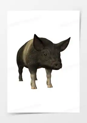 老母猪图片头像可爱下载成年老母猪图片高清大全熊猫办公