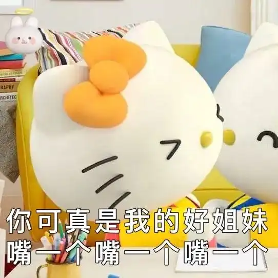 表情包丸子妹看透一切
