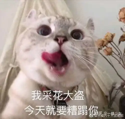 你们撩对象都用什么表情包啊