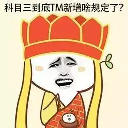 驾考表情包学费
