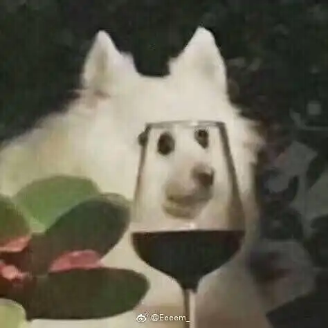 有没有忠实的狗党