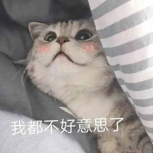 猫咪偷偷抹把泪表情包情