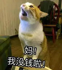 我90后,来深工作2年,没钱寄回家