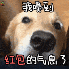 2018狗年春节祝福问候表情图片
