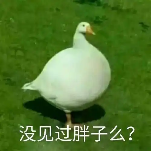 沙雕文案有这么沙雕的文案让朋友圈笑到停不下来确定这么沙雕