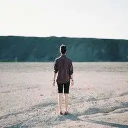 小诗丛抵达