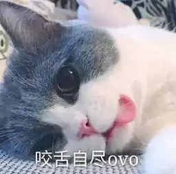 喵喵表情包