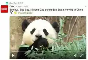 旅美大熊猫宝宝启程回国,美国人民实在舍不得,饲养员都哭了